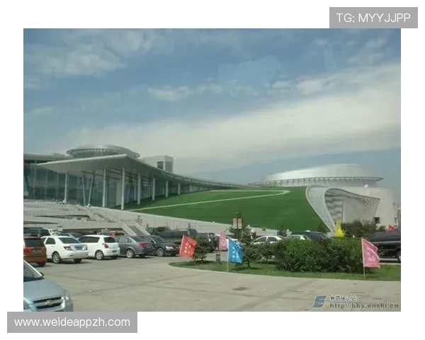 多米体育官方网站客户服务支持与常见问题快速解决指南